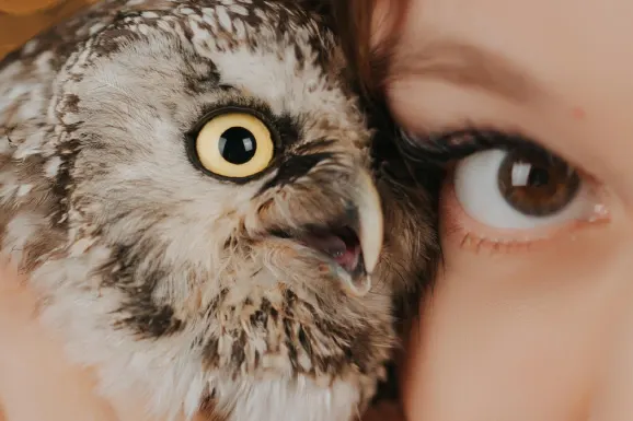 Kasino Lucky 31 Sokongan